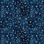 American Country 31997 N Navy Stars Quilting Treasures